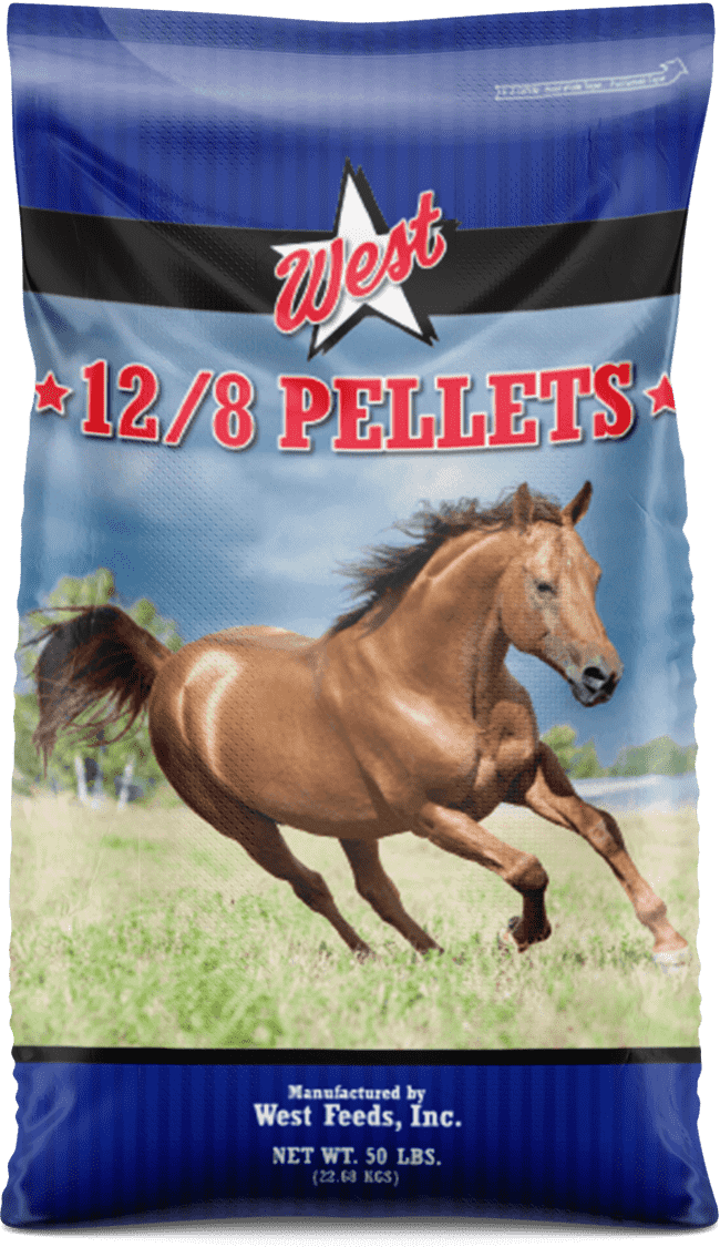 Pelleted vs. Textured Horse Feed – The Horse