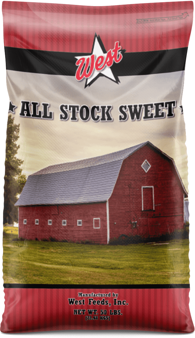 all stock feed bag