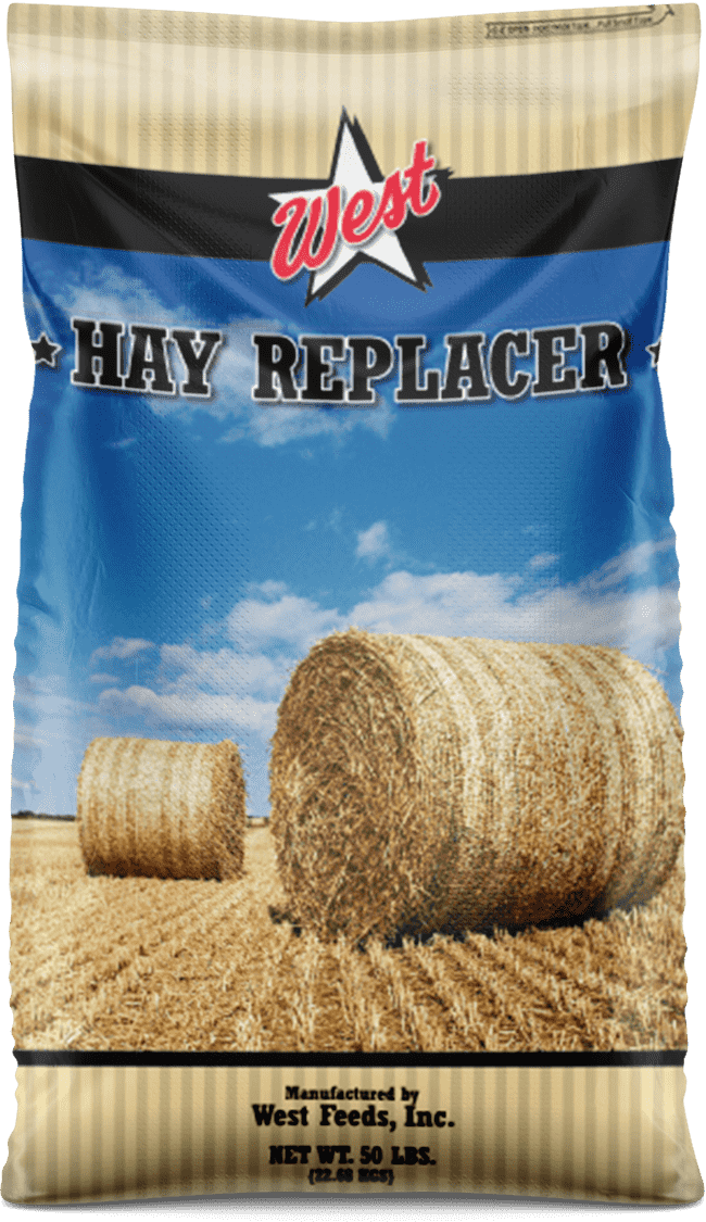 hay replacer feed bag