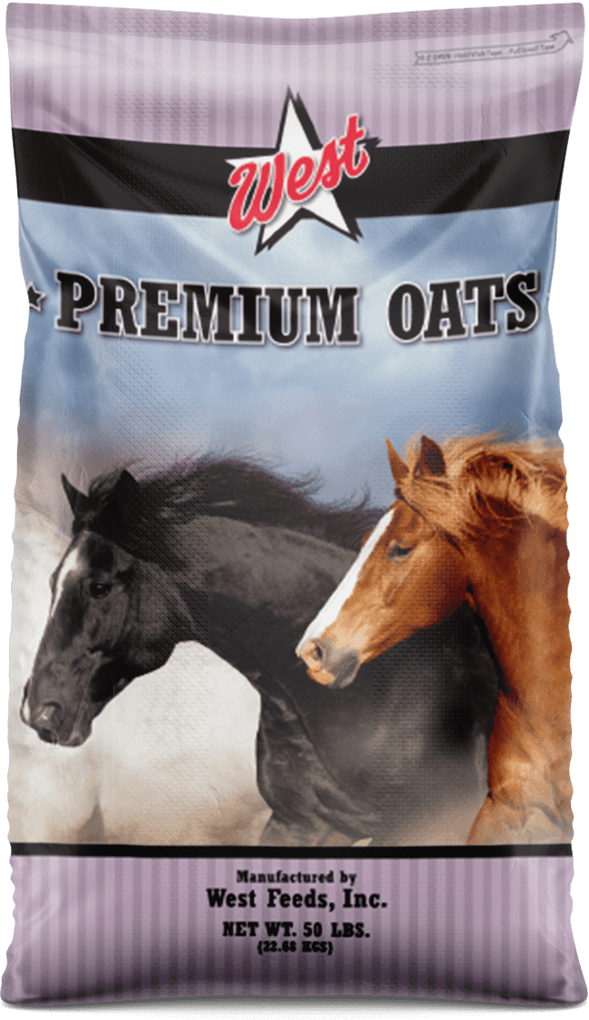 premium oats bag
