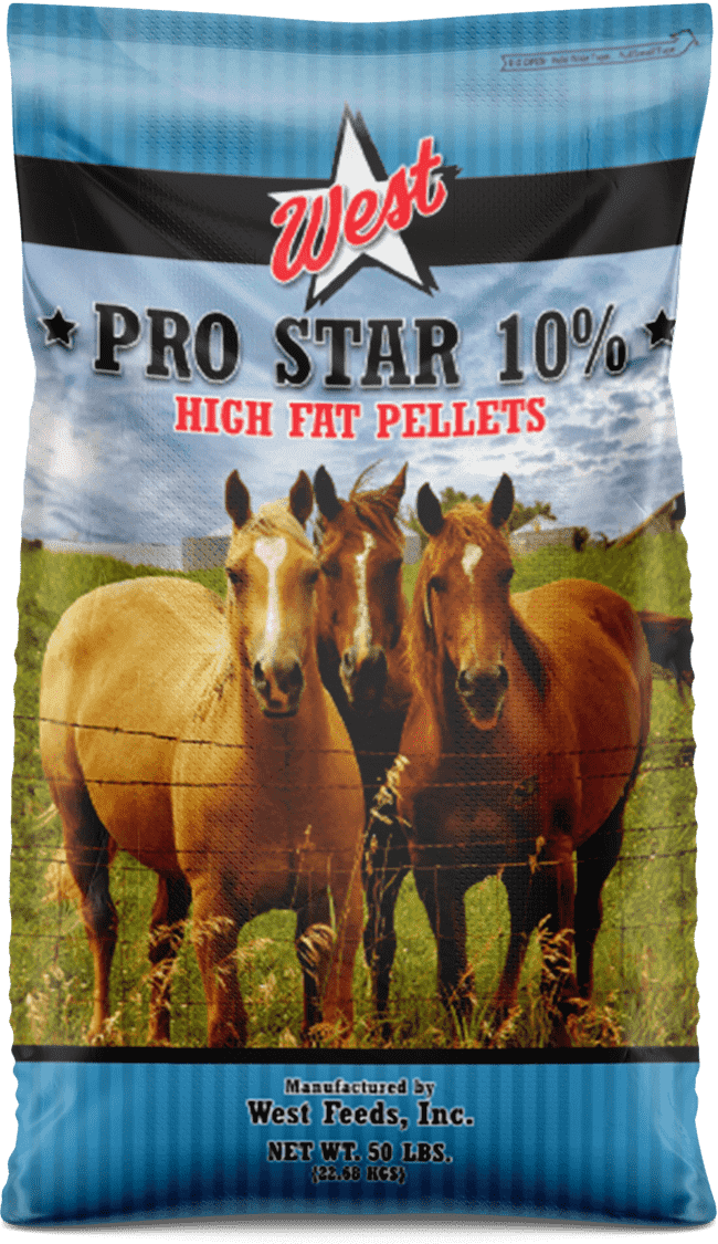 Horse Feed and Supplement Products West Feeds, Inc.