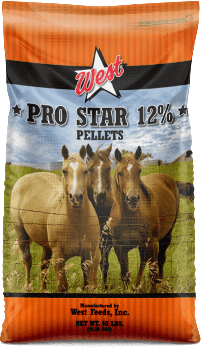 pro star 12 horse feed bag