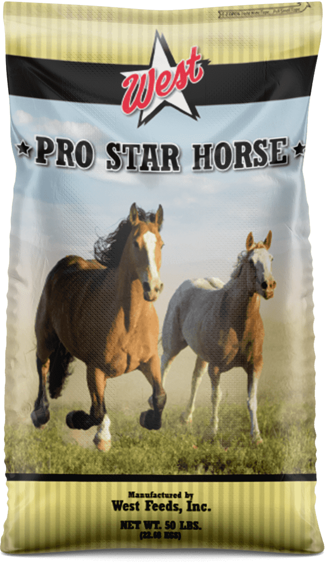 pro star horse feed bag