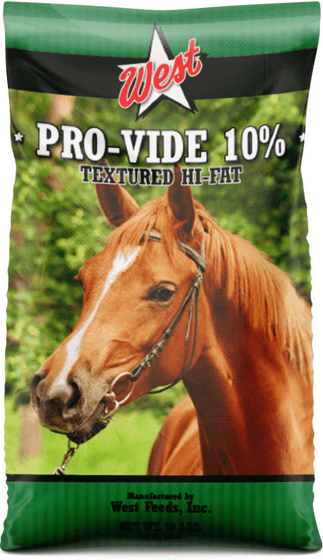 pro vide 10 horse feed bag