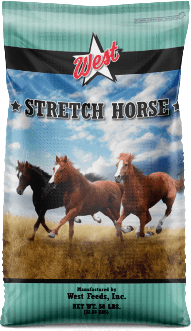 stretch horse feed bag