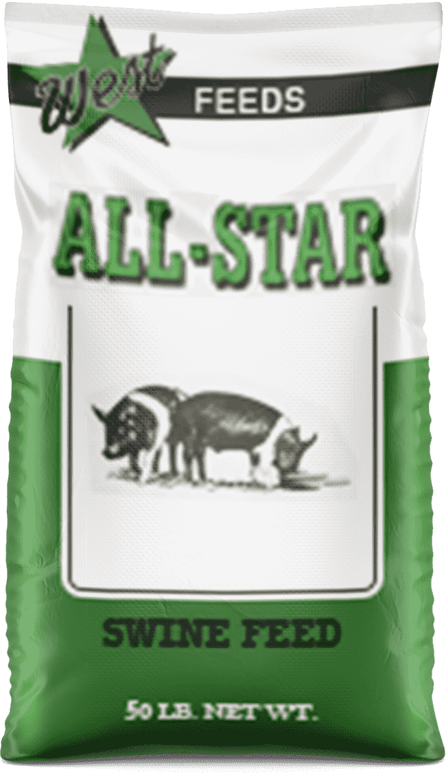 pig feed bag