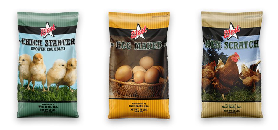different types of chicken feed